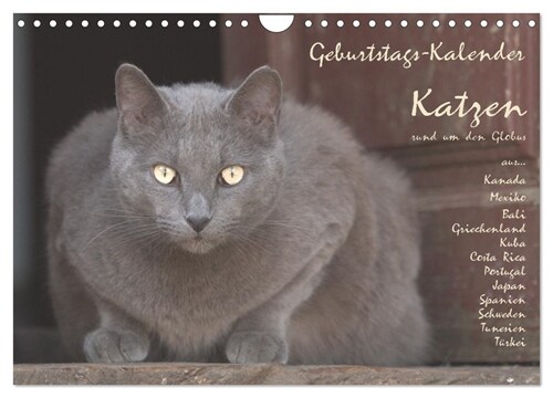 Geburtstags-Kalender Katzen... rund um den Globus (Wandkalender 2024 DIN A4 quer), CALVENDO Monatskalender (Calendar)