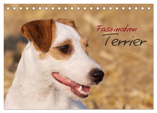 Faszination Terrier (Tischkalender 2024 DIN A5 quer), CALVENDO Monatskalender (Calendar)