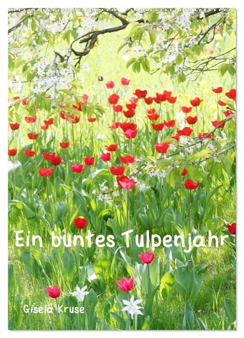 Ein buntes Tulpenjahr (Wandkalender 2024 DIN A2 hoch), CALVENDO Monatskalender (Calendar)