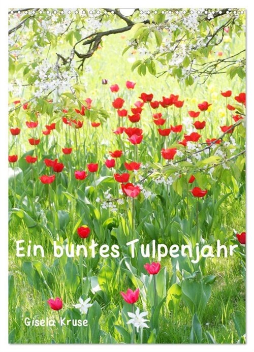 Ein buntes Tulpenjahr (Wandkalender 2024 DIN A3 hoch), CALVENDO Monatskalender (Calendar)