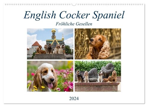 English Cocker Spaniel - Frohliche Gesellen (Wandkalender 2024 DIN A2 quer), CALVENDO Monatskalender (Calendar)