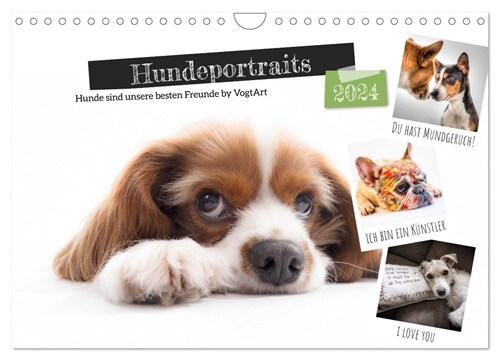 Hundeportraits, Hunde sind unsere besten Freunde by VogtArt (Wandkalender 2024 DIN A4 quer), CALVENDO Monatskalender (Calendar)