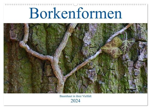 Borkenformen (Wandkalender 2024 DIN A2 quer), CALVENDO Monatskalender (Calendar)
