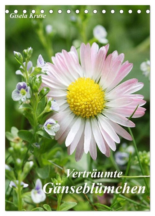 Vertraumte Ganseblumchen (Tischkalender 2024 DIN A5 hoch), CALVENDO Monatskalender (Calendar)