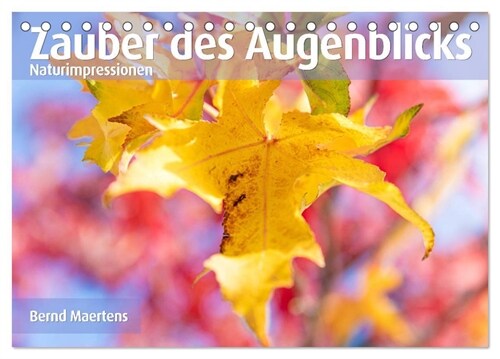 ZAUBER DES AUGENBLICKS Naturimpressionen (Tischkalender 2024 DIN A5 quer), CALVENDO Monatskalender (Calendar)