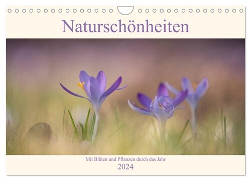 Naturschonheiten - mit Bluten und Pflanzen durch das Jahr (Wandkalender 2024 DIN A4 quer), CALVENDO Monatskalender (Calendar)