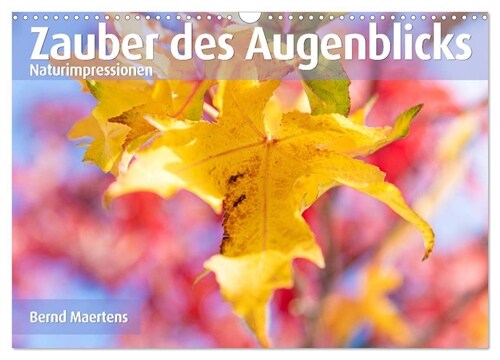 ZAUBER DES AUGENBLICKS Naturimpressionen (Wandkalender 2024 DIN A3 quer), CALVENDO Monatskalender (Calendar)