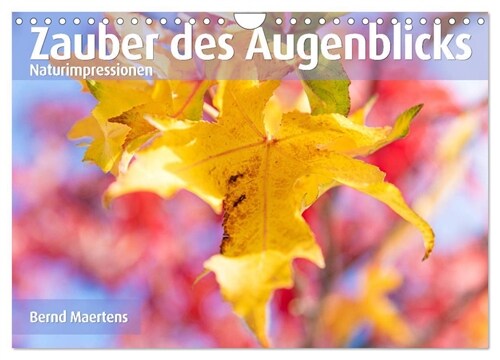 ZAUBER DES AUGENBLICKS Naturimpressionen (Wandkalender 2024 DIN A4 quer), CALVENDO Monatskalender (Calendar)