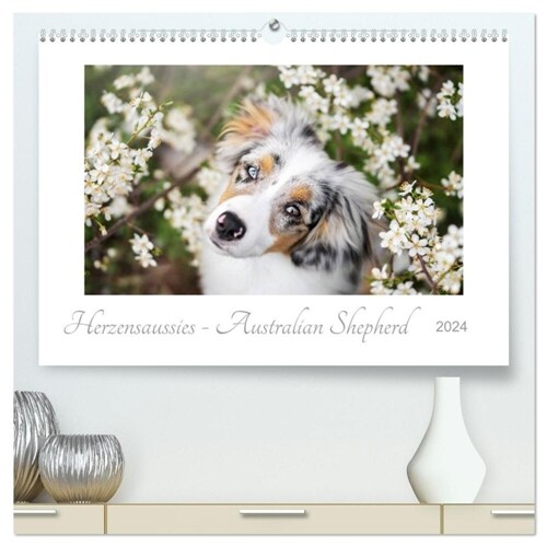 Herzensaussies - Australian Shepherd (hochwertiger Premium Wandkalender 2024 DIN A2 quer), Kunstdruck in Hochglanz (Calendar)