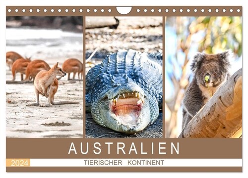 Australien, tierischer Kontinent (Wandkalender 2024 DIN A4 quer), CALVENDO Monatskalender (Calendar)