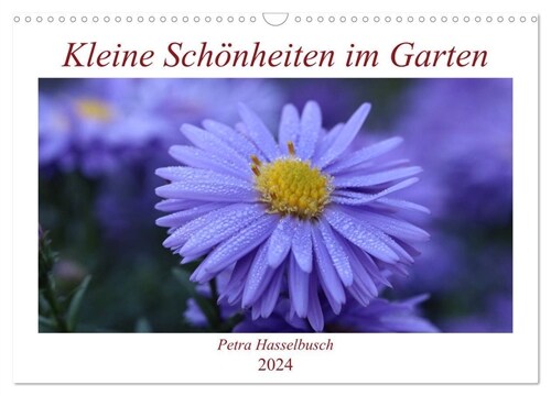 Kleine Schonheiten im Garten (Wandkalender 2024 DIN A3 quer), CALVENDO Monatskalender (Calendar)