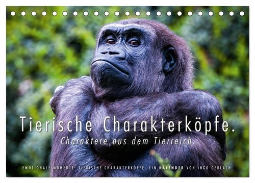 Tierische Charakterkopfe (Tischkalender 2024 DIN A5 quer), CALVENDO Monatskalender (Calendar)