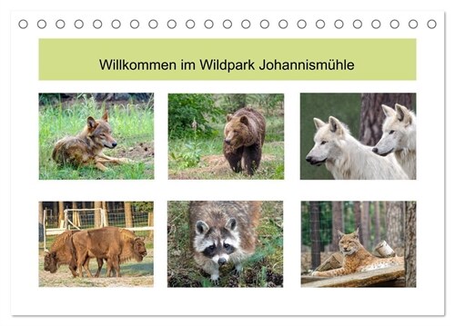 Willkommen im Wildpark Johannismuhle (Tischkalender 2024 DIN A5 quer), CALVENDO Monatskalender (Calendar)