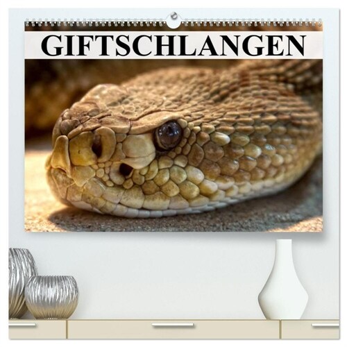 Giftschlangen (hochwertiger Premium Wandkalender 2024 DIN A2 quer), Kunstdruck in Hochglanz (Calendar)