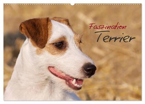Faszination Terrier (Wandkalender 2024 DIN A2 quer), CALVENDO Monatskalender (Calendar)