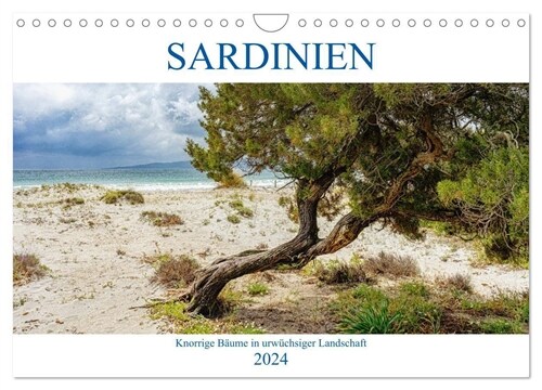 Sardinien Knorrige Baume in urwuchsiger Landschaft (Wandkalender 2024 DIN A4 quer), CALVENDO Monatskalender (Calendar)