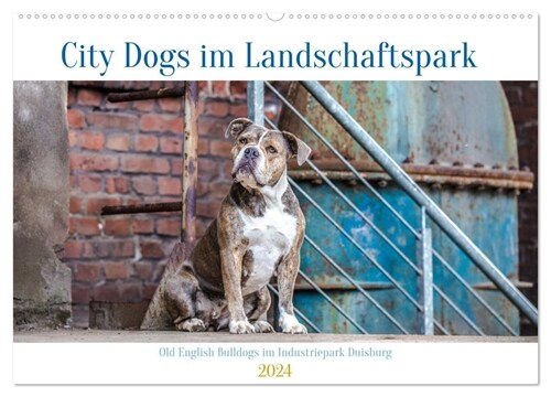 City Dogs im Landschaftspark (Wandkalender 2024 DIN A2 quer), CALVENDO Monatskalender (Calendar)