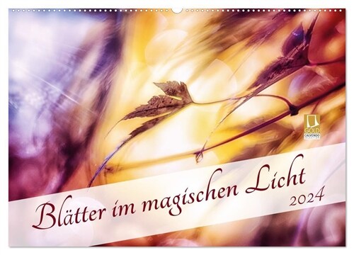 Blatter im magischen Licht (Wandkalender 2024 DIN A2 quer), CALVENDO Monatskalender (Calendar)