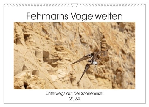 Fehmarn Vogelwelten (Wandkalender 2024 DIN A3 quer), CALVENDO Monatskalender (Calendar)