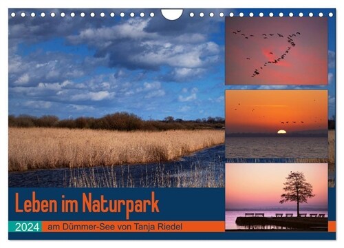 Leben am Naturpark um den Dummer See (Wandkalender 2024 DIN A4 quer), CALVENDO Monatskalender (Calendar)