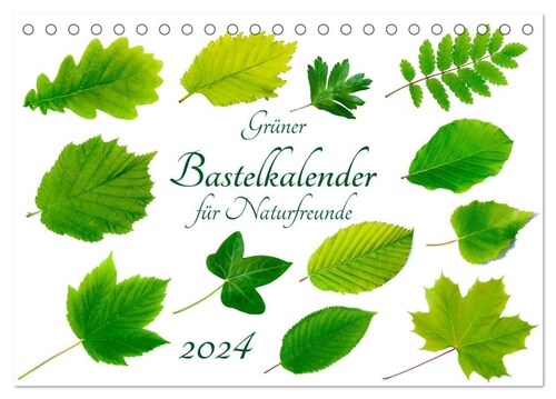 Gruner Bastelkalender fur Naturfreunde (Tischkalender 2024 DIN A5 quer), CALVENDO Monatskalender (Calendar)