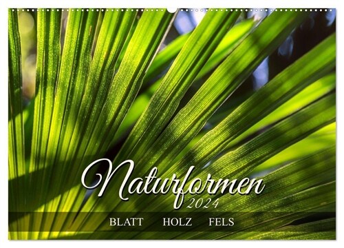 Naturformen, Blatt, Holz, Fels (Wandkalender 2024 DIN A2 quer), CALVENDO Monatskalender (Calendar)