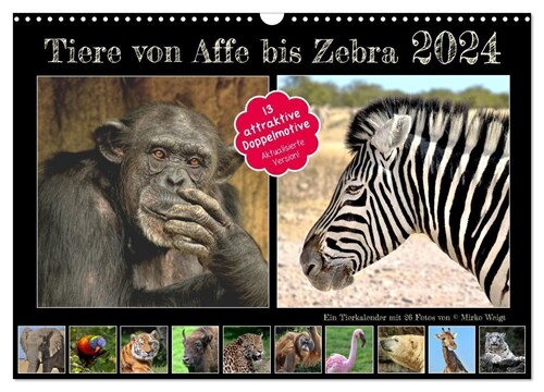 Tiere von Affe bis Zebra 2024 (Wandkalender 2024 DIN A3 quer), CALVENDO Monatskalender (Calendar)