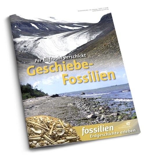 Geschiebe-Fossilien (Paperback)