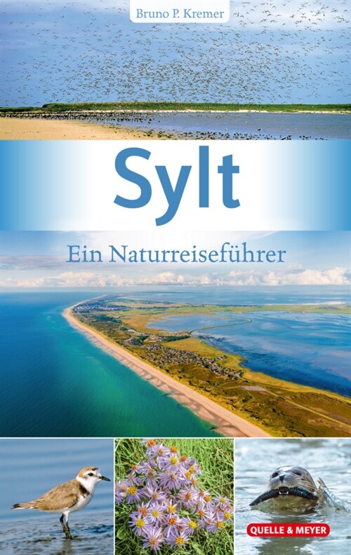 Sylt (Paperback)