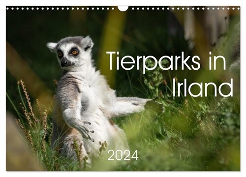 Tierparks in Irland (Wandkalender 2024 DIN A3 quer), CALVENDO Monatskalender (Calendar)