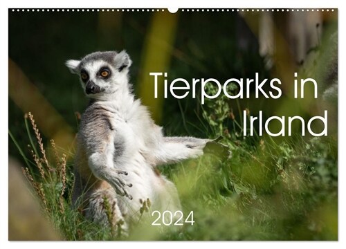Tierparks in Irland (Wandkalender 2024 DIN A2 quer), CALVENDO Monatskalender (Calendar)