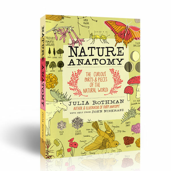 [중고] Nature Anatomy: The Curious Parts and Pieces of the Natural World (Paperback)