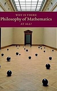 Why Is There Philosophy of Mathematics at All? (Hardcover)
