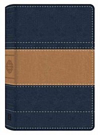 Study Bible-KJV (Imitation Leather)