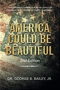 America Could Be Beautiful: A Poor Mans Campaign for the Office of President of These United States of America (Paperback)