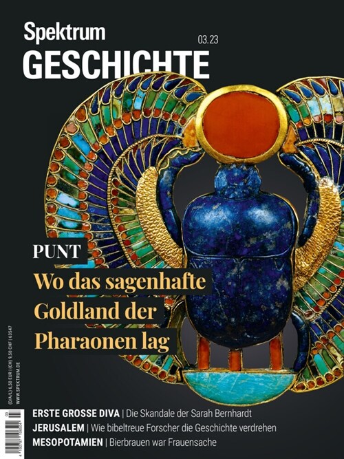 Spektrum Geschichte - Punt (Book)