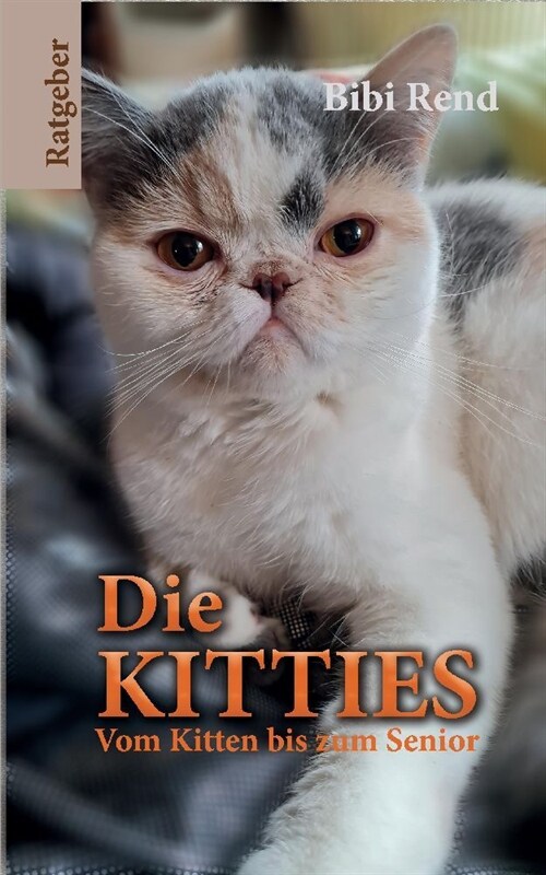 Die Kitties (Hardcover)