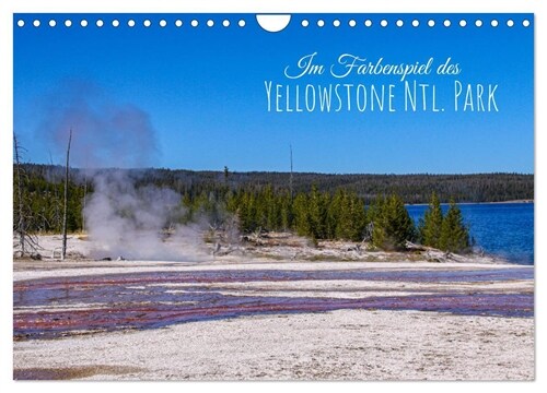 Im Farbenspiel des Yellowstone Natl. Park (Wandkalender 2024 DIN A4 quer), CALVENDO Monatskalender (Calendar)