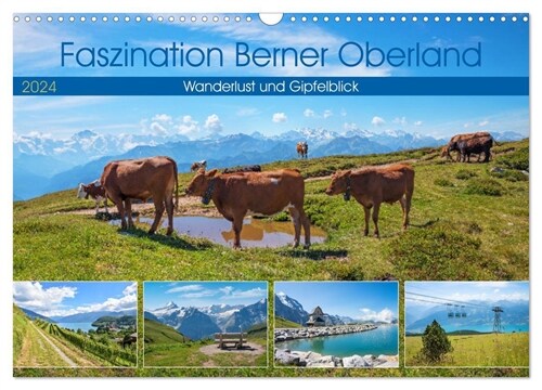 Faszination Berner Oberland 2024 - Wanderlust und Gipfelblick (Wandkalender 2024 DIN A3 quer), CALVENDO Monatskalender (Calendar)