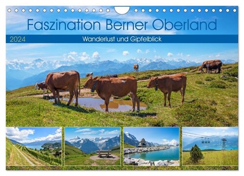 Faszination Berner Oberland 2024 - Wanderlust und Gipfelblick (Wandkalender 2024 DIN A4 quer), CALVENDO Monatskalender (Calendar)