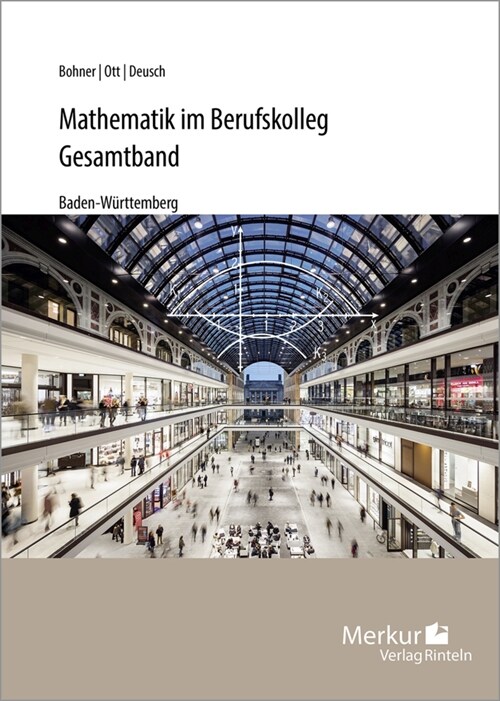 Mathematik im Berufskolleg - Gesamtband (Paperback)