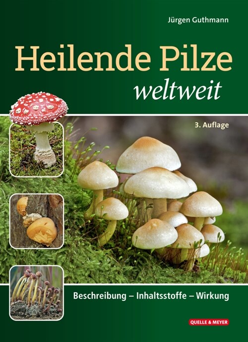 Heilende Pilze weltweit (Hardcover)