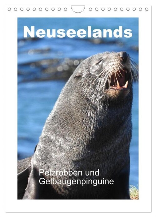 Neuseelands Pelzrobben und Gelbaugenpinguine (Wandkalender 2024 DIN A4 hoch), CALVENDO Monatskalender (Calendar)