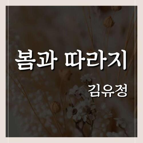 봄과 따라지