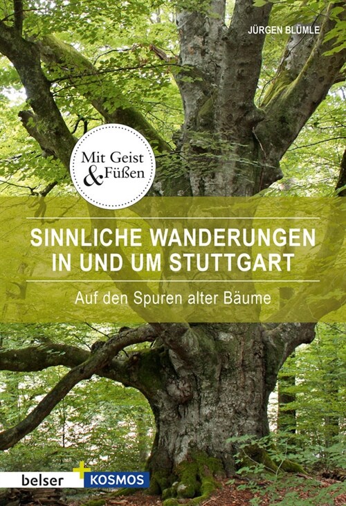 Sinnliche Wanderungen in und um Stuttgart (Paperback)