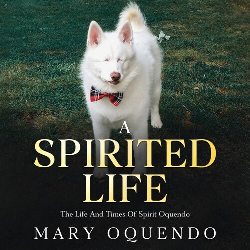 A Spirited Life: The Life and Times of Spirit Oquendo (Paperback)