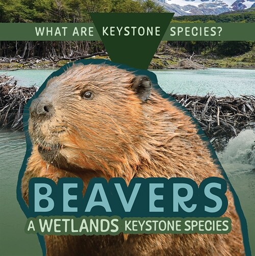 Beavers: A Wetlands Keystone Species (Paperback)