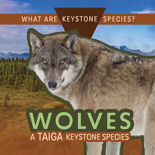 Wolves: A Taiga Keystone Species (Paperback)