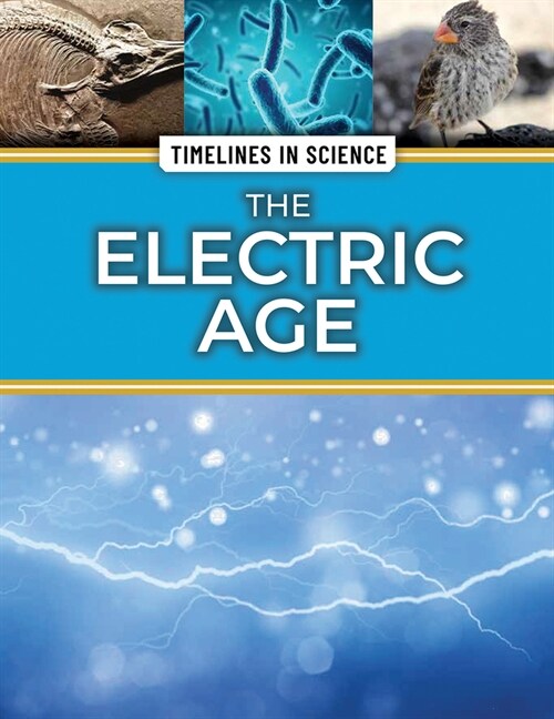 The Electric Age (Library Binding)