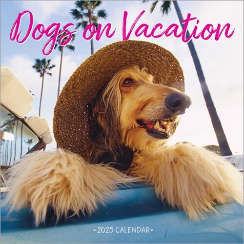Dogs on Vacation Wall Calendar 2025 (Wall)